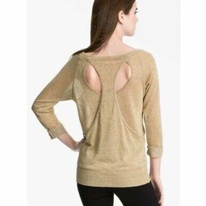 Bailey 44 ~ Sheer Gold Sparkle Top 🤩